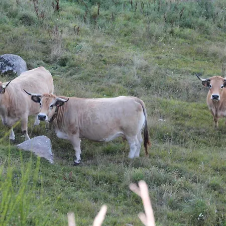 La Maison De Castanet Entre Aubrac Et Margeride